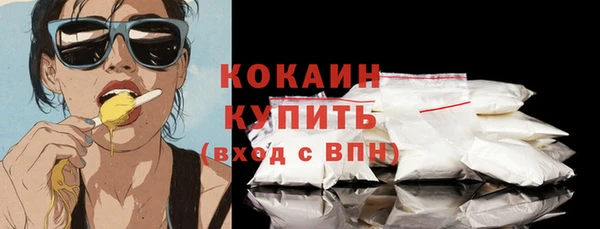 крисы Абаза