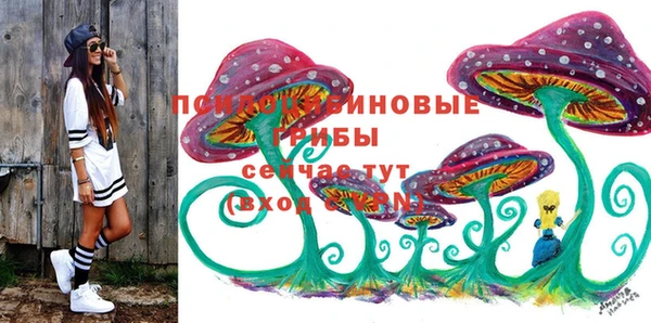прущие крисы Абинск