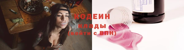 крисы Абаза