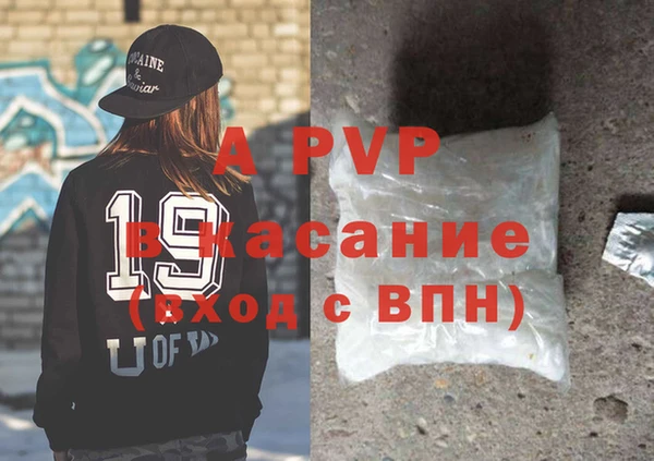 крисы Абаза