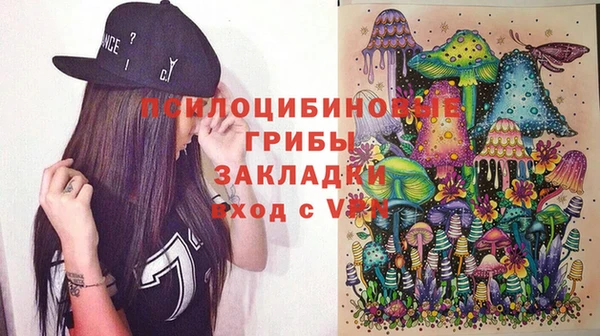 прущие крисы Абинск